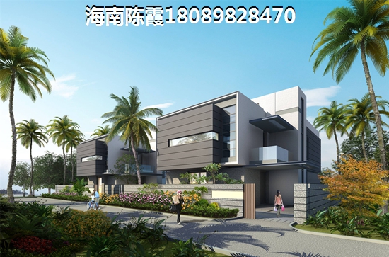 中南·森海湾新房大揭秘！2025年生纸潜力无限，快来一探究竟！